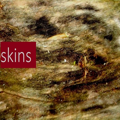 (Petroglyph 059) The Merricks - Skins